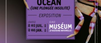 Exposition Océan, une plongée insolite Nantes